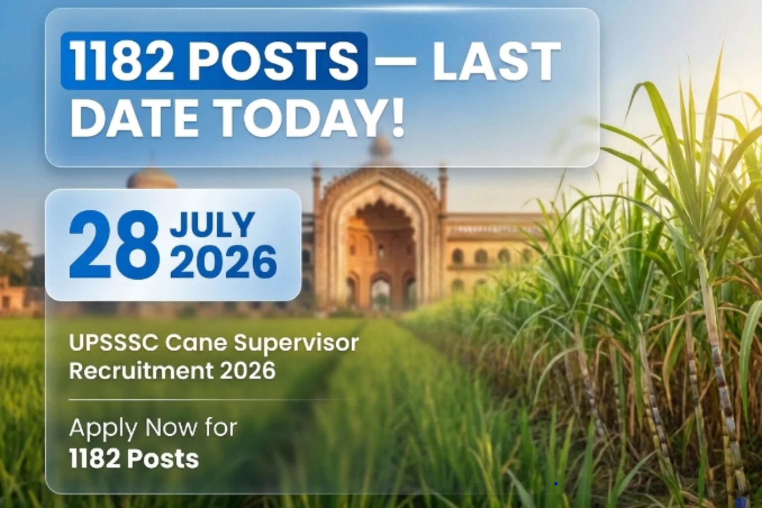 UPSSSC Cane Supervisor Recruitment 2026 Apply Online